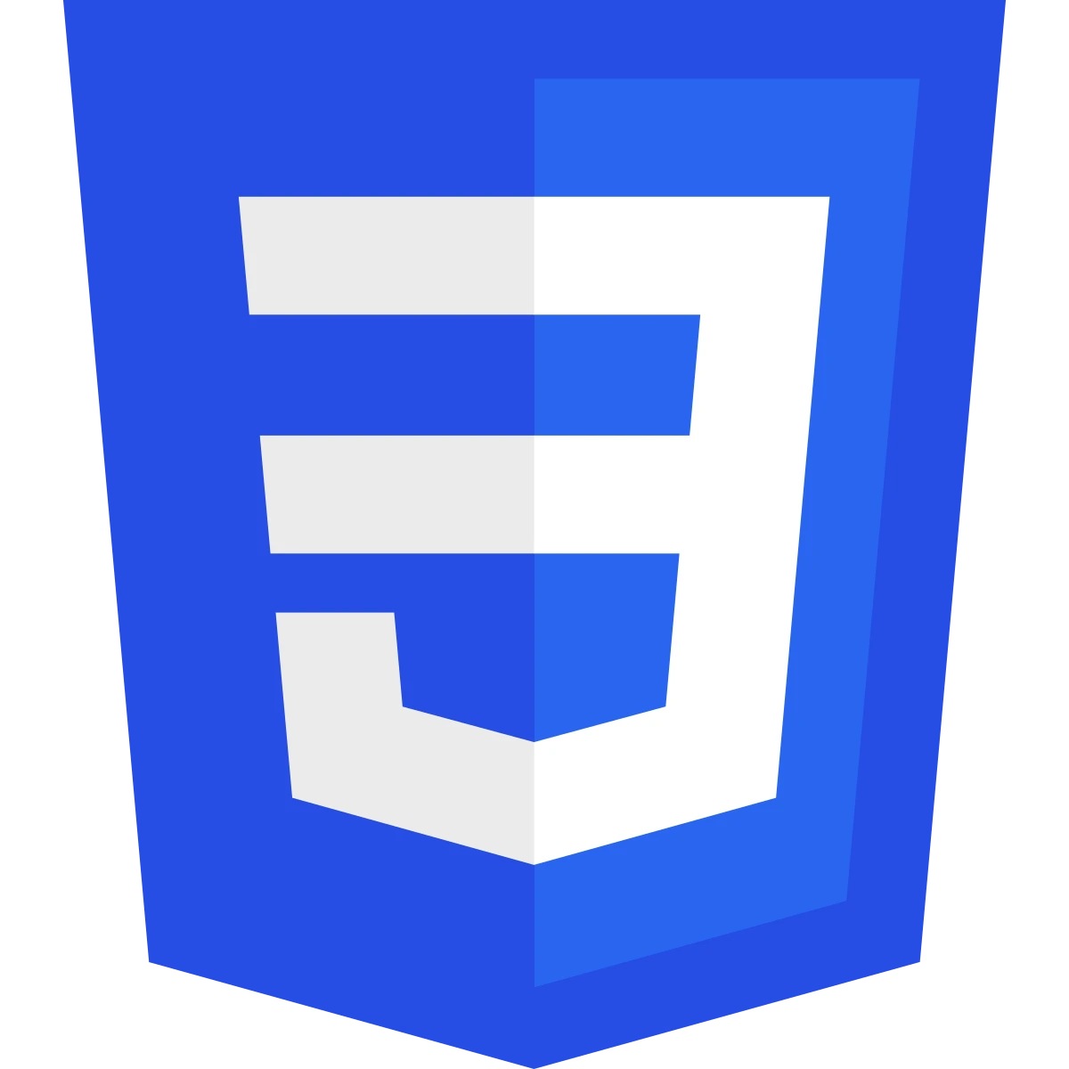 css_logo